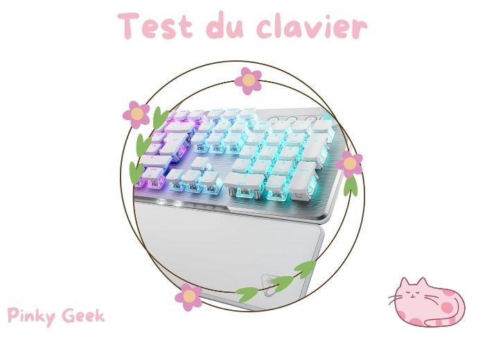 turtle beach vulcan ii test clavier