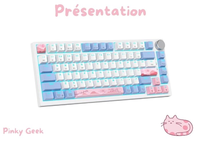 présentation du clavier mécanique sbockeeb